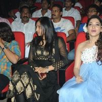 Jr NTR's Oosaravelli Audio Launch Gallery | Picture 77179
